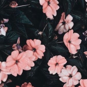 Meet your Posher, Leticia